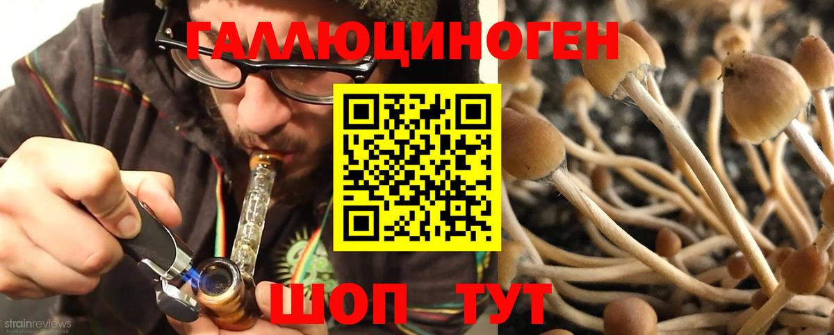 Галлюциногенные грибы мицелий  где продают   Вход с VPN  Великие Луки  Псилоцибиновые грибы Psilocybine cubensis 