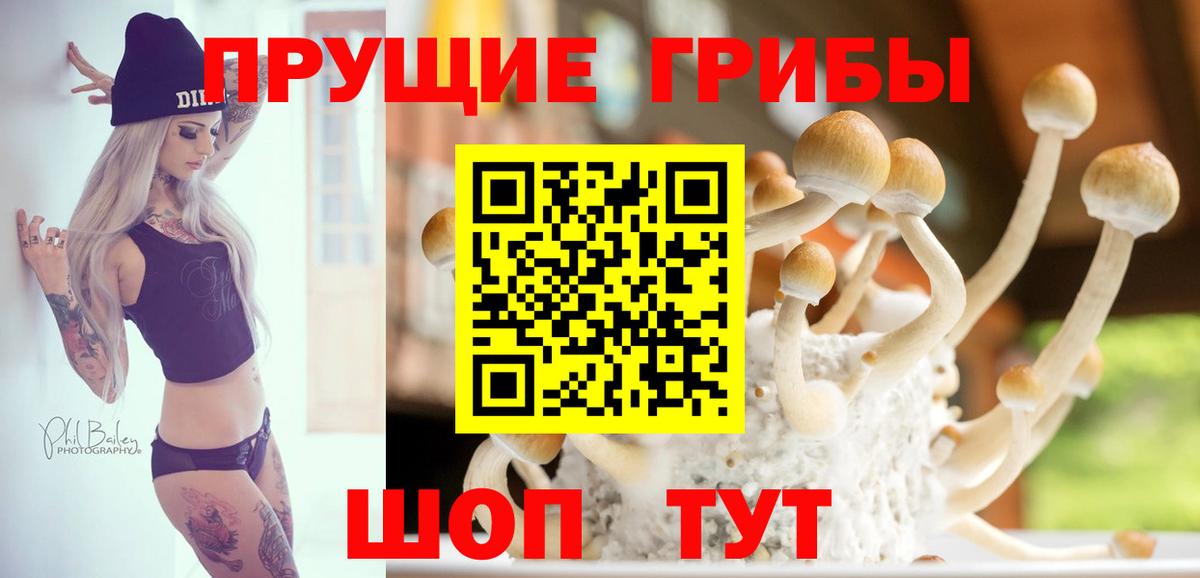 Галлюциногенные грибы мухоморы Великие Луки